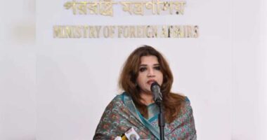 আত্মসমর্পণ করলে শেখ হাসিনাকে কারাগারে যেতে হবে: পররাষ্ট্র প্রতিমন্ত্রী