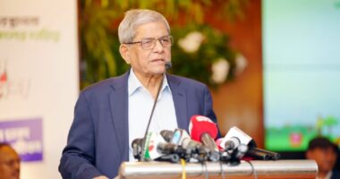 চার–পাঁচ মাসেও পরিবর্তন আসেনি, ঘুষ-দুর্নীতি আগের মতোই চলছে: মির্জা ফখরুল