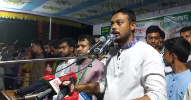 তারেক রহমানের প্রত্যক্ষ মদদে হামলার অভিযোগ নাসীরুদ্দীন পাটওয়ারীর