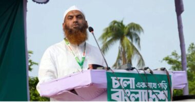 সন্ত্রাস ও মাদকমুক্ত সমাজ গঠনে সবাইকে ঐক্যবদ্ধ হওয়ার আহ্বান মামুনুল হকের