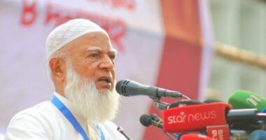 সরিষার মধ্যেই ভূত আছে, তাই সরকার তা তাড়াতে পারবে না: জামায়াত আমির