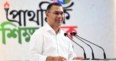 অনার্স পর্যন্ত মেয়েদের শিক্ষাব্যবস্থা ফ্রি করার সিদ্ধান্ত নিয়েছি: প্রধানমন্ত্রী তারেক রহমান