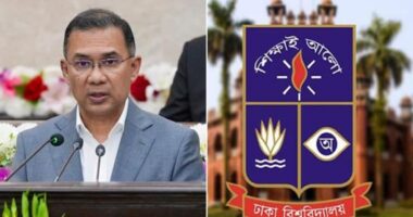 ঢাবির শিক্ষার্থীরা দেশের গণতান্ত্রিক আন্দোলনে নেতৃত্ব দিয়েছে: প্রধানমন্ত্রী