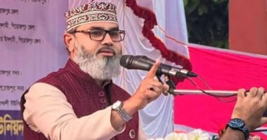 জুলাই কেবল একটি মাসের নাম নয়, জুলাই আমাদের গণতান্ত্রিক আকাঙ্ক্ষা, আত্মত্যাগ ও নতুন বাংলাদেশ গড়ার শপথের মাস : মাসুদ সাঈদী