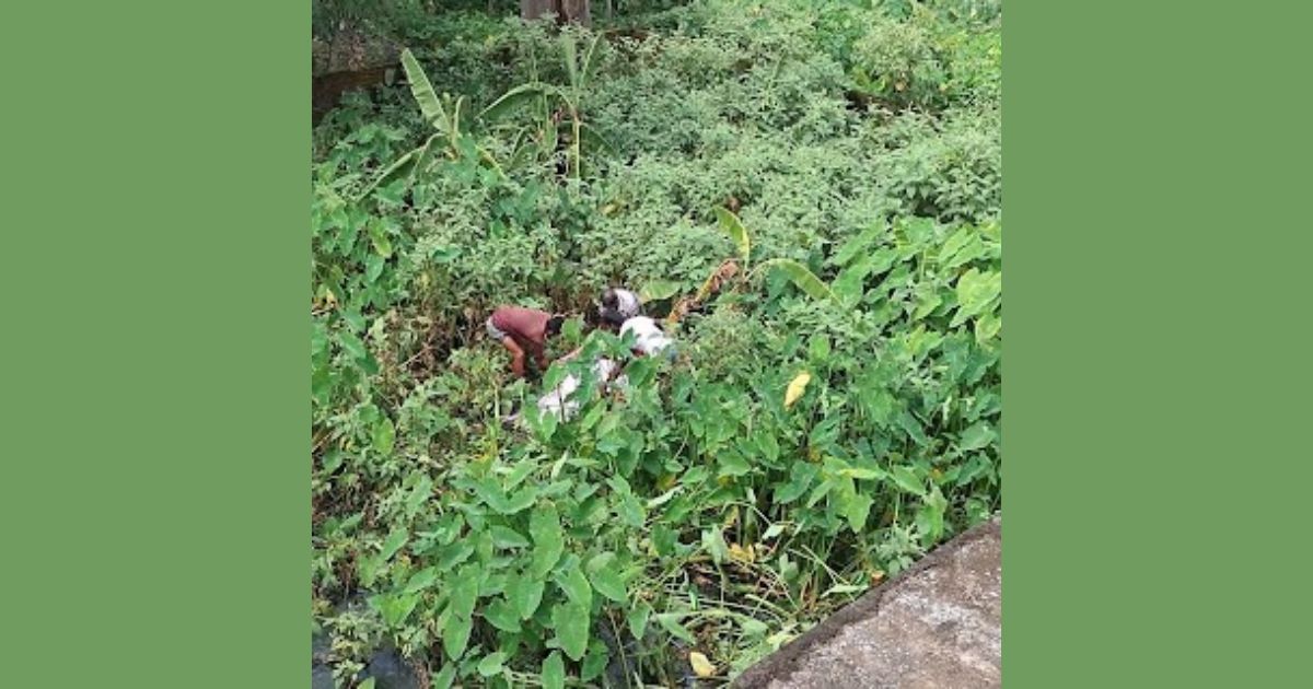 দুই দিন পর ডোবায় মিলল বিধবার মরদেহ