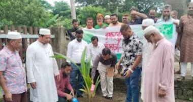 কৃষি প্রণোদনার আওতায় বিনামূল্যে বীজ, সার ও বৃক্ষের চারা বিতরণ