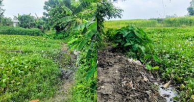 রাস্তা নেই, উন্নয়নও নেই— আশ্বাসেই দিন কাটছে ধরমন্ডল ৪নং ওয়ার্ডবাসীর