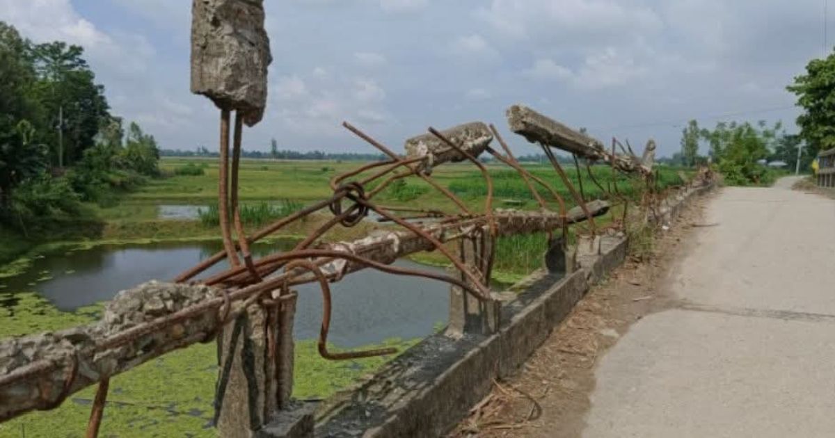 শেরপুরে ঝুঁকিপূর্ণ ব্রিজ: রেলিং ভেঙে রড দৃশ্যমান, দুর্ঘটনার আশঙ্কা