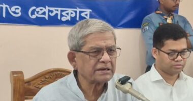 গণমাধ্যম শক্তিশালী হলে গণতন্ত্রও শক্তিশালী হয়: মির্জা ফখরুল