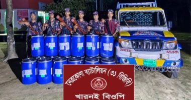 বিজিবি'র অভিযানে ট্রাকসহ অর্ধ কোটি টাকার কেমিক্যাল ও মিনি ট্রাক জব্দ