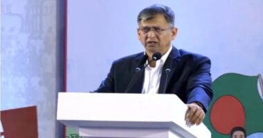  আওয়ামী লীগের রাজনৈতিক মৃত্যু হয়েছে, তাদের দাফন হয়েছে দিল্লিতে: স্বরাষ্ট্রমন্ত্রী