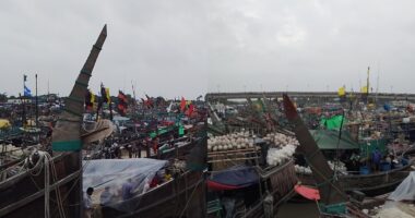 বৈরী আবহাওয়ায় আলীপুর-মহিপুর ঘাটে শত শত মাছ ধরার ট্রলার