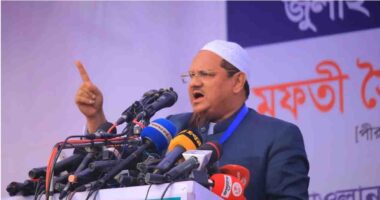 ছাত্র-জনতা রক্ত দিয়ে তামাশা করার জন্য কাউকে সংসদে পাঠায়নি: চরমোনাই পীর