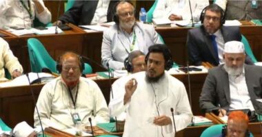 সাভারে এনসিপির সমাবেশে হামলা, সংসদে তদন্ত দাবি আখতার হোসেনের