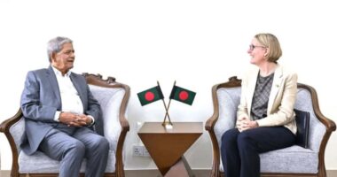 গণতন্ত্রকে আরও শক্তিশালী করতে সব ধরনের সহযোগিতা অব্যাহত রাখার আশ্বাস দিয়েছে যুক্তরাজ্য