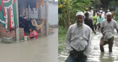 টানা বর্ষণে পানিবন্দি মনপুরা; তলিয়ে গেছে সড়ক, ফসলের মাঠ ও বসতভিটা