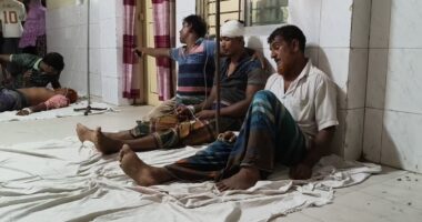 গাংনীতে গরু বোঝাই লাটা হাম্বার উল্টে একজন নিহত, আহত-১১