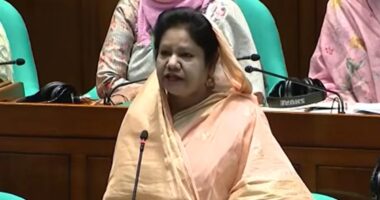 ‘ব্যাংক লুটেরা যেখানেই থাকুক, ফিরিয়ে এনে ডিম থেরাপি দিতে হবে’: রেহেনা আক্তার রানু