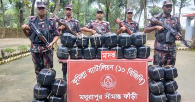 কুমিল্লায় সীমান্ত এলাকায় বিশেষ অভিযান চালিয়ে বিপুল পরিমাণ ভারতীয় গাঁজা উদ্ধার করেছে বিজিবি