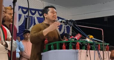 জুলাই আন্দোলন শেষ হলে হাসিনা দেশে ফেরার কথা বলার সাহসও দেখাতে পারতেন না: সারজিস আলম