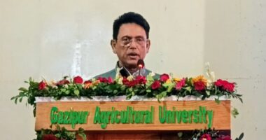 ‘শিক্ষাব্যবস্থা ধ্বংসে পরিকল্পিত প্রকল্প নিয়েছিল বিগত সরকার’: শিক্ষামন্ত্রী
