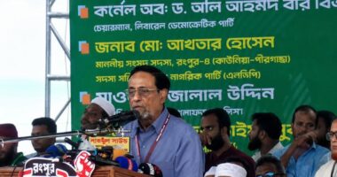 ইসির বর্তমান কাঠামো বহাল থাকলে নির্বাচনে যাবে না এলডিপি: কর্নেল অলি