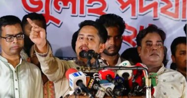 শেখ হাসিনার যদি ন্যূনতম লজ্জা থাকত ওই মুখ দেখানো তো দূরের কথা ভারতে গিয়ে আত্মহত্যা করতেন : সারজিস