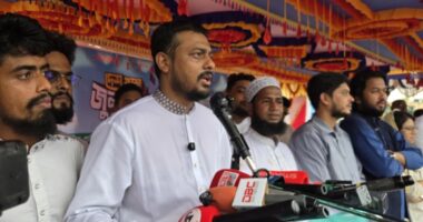 ‘আমরা সরকার গঠন করে শেখ হাসিনাকে ফাঁসিতে ঝুলাব’: নাসীরুদ্দীন পাটওয়ারী