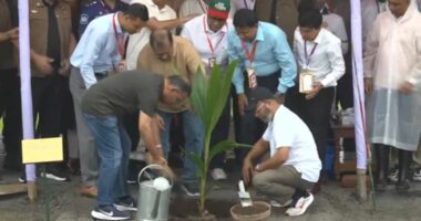 আগামী পাঁচ বছরে সারা দেশে ২৫ কোটি গাছ রোপণ করা হবে: প্রধানমন্ত্রী