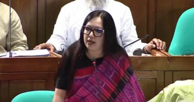 মাদক ব্যবসার সঙ্গে জড়িতদের বিরুদ্ধে ব্যবস্থা না নিলে সমাধান হবে না: রুমিন ফারহানা