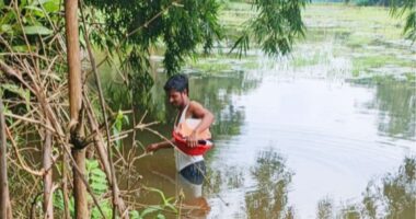 বড়লেখায় আপাতত স্বস্তি, উজানের পানি বাড়লে বন্যার শঙ্কা