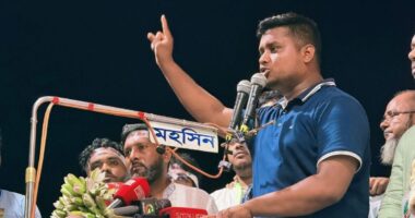 সংস্কার ছাড়া নেতৃত্বে আনা হয়েছে তারেক রহমানকে: হাসনাত আব্দুল্লাহ