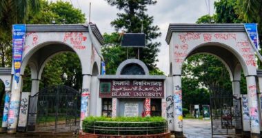 ইবির একমাত্র জুলাই স্মৃতিচিহ্ন অক্ষুণ্ণ রাখার সিদ্ধান্ত প্রশাসনের