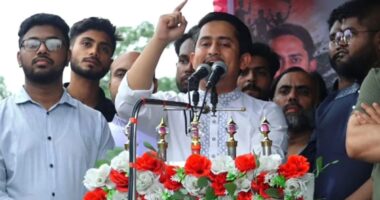 জুলাই সনদ বাস্তবায়ন না হলে সরকারের পরিণতি আ.লীগের মতো হবে: সারজিস আলম