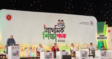 প্রধানমন্ত্রীর নেতৃত্বে বিপর্যস্ত শিক্ষাব্যবস্থা পুনর্গঠন করব: মাহ্দী আমিন