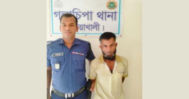 পলাতক মাদক মামলার আসামি আনিস খান গ্রেফতার