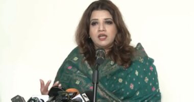 শেখ হাসিনাকে ফেরাতে ভারতের রাজনৈতিক ও কূটনৈতিক সদিচ্ছা প্রয়োজন: শামা ওবায়েদ