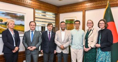 প্রধানমন্ত্রীর পররাষ্ট্র উপদেষ্টার সঙ্গে পাঁচ ইউরোপীয় কূটনীতিকের বৈঠক