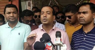 আবু সাঈদ তারেক রহমানের ডাকে জুলাই আন্দোলনে অংশ নিয়েছিলেন: ছাত্রদল সভাপতি