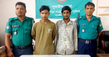 দেশীয় অস্ত্রসহ ২ ছিনতাইকারী গ্রেপ্তার