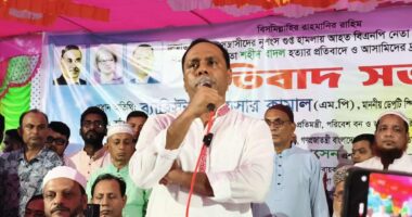 বাগেরহাটে উন্নয়নের ছোঁয়া লাগেনি, অভিযোগ ডেপুটি স্পিকার কায়সার কামালের