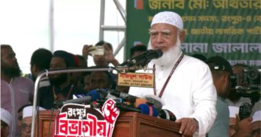 গণভোট বাস্তবায়ন না হলে সরকারও টিকবে না: শফিকুর রহমান