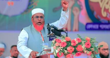 শুধু দুনিয়ার নয়, পরকালের সফলতার জন্যও কাজ করতে হবে: মিয়া গোলাম পরওয়ার