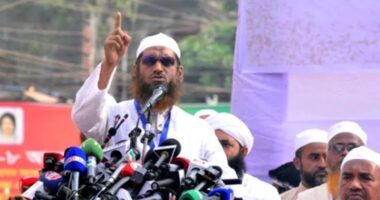 গণভোটের রায় বাস্তবায়ন ছাড়া সংসদ চলতে পারে না: মামুনুল হক