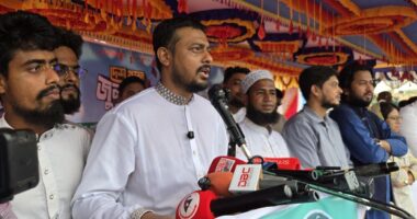 বিএনপি টাকার বিনিময়ে আওয়ামী লীগ নেতাদের গ্রেপ্তার ঠেকিয়ে আশ্রয় দিচ্ছে: নাসীরুদ্দীন পাটওয়ারী