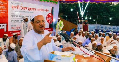 শিয়ালের কাছে মুরগি বর্গা দিয়ে জুলাইয়ের প্রত্যাশা পূরণ হয়নি: চরমোনাই পীর