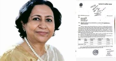 পদ্মা নদীর ভাঙন রোধে স্থায়ী বেড়িবাঁধ নির্মাণ ও জিও ব্যাগের দাবিতে পানি সম্পদ মন্ত্রণালয়ে এমপি মমতাজ আলোর চিঠি