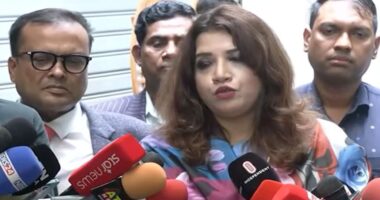 শেখ হাসিনা-কামালসহ সব দণ্ডিত পলাতককে দেশে ফিরিয়ে এনে বিচার করা হবে: পররাষ্ট্র প্রতিমন্ত্রী