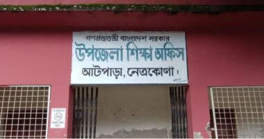 নেত্রকোনায় উপজেলা প্রাথমিক শিক্ষা কর্মকর্তার বিরুদ্ধে অর্থ আত্মসাতের অভিযোগ