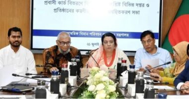 প্রবাসী কার্ডধারীদের জন্য বিমান টিকিটসহ বিশেষ সুবিধা যুক্ত করা হবে: বিমানমন্ত্রী